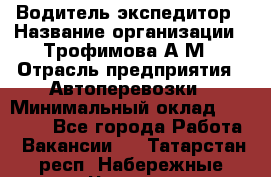 Водитель-экспедитор › Название организации ­ Трофимова А.М › Отрасль предприятия ­ Автоперевозки › Минимальный оклад ­ 65 000 - Все города Работа » Вакансии   . Татарстан респ.,Набережные Челны г.